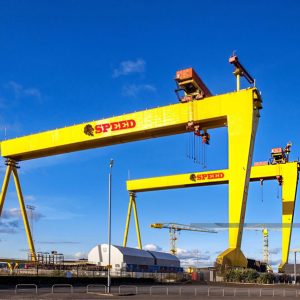 GOLIATH CRANES image 3