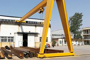 Semi-Goliath (Semi-Portal) Cranes image 3